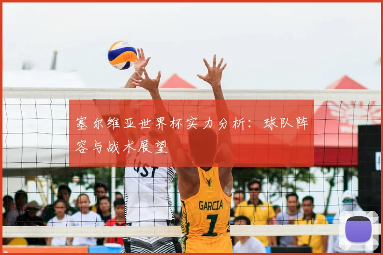 塞尔维亚世界杯实力分析:球队阵容与战术展望