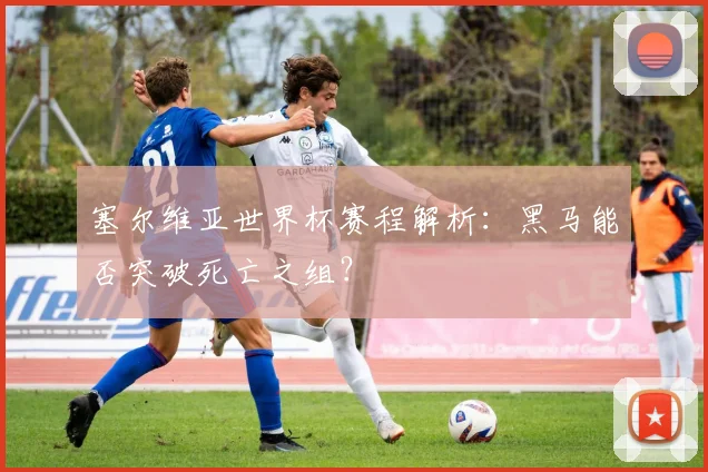 塞尔维亚世界杯赛程解析：黑马能否突破死亡之组？