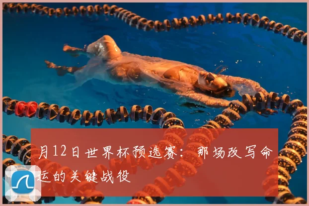 月12日世界杯预选赛：那场改写命运的关键战役