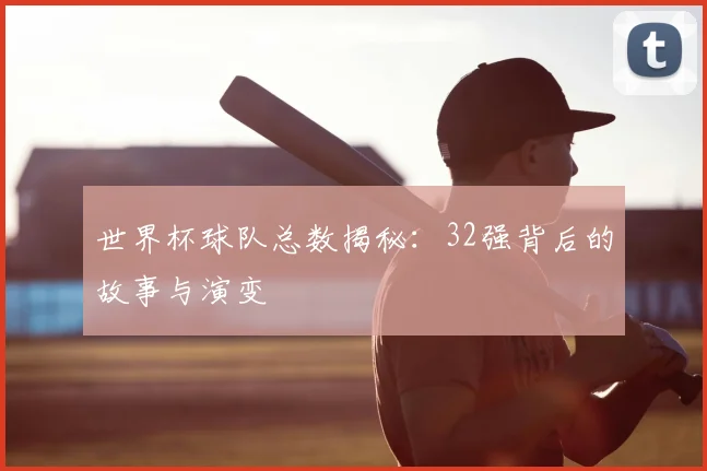 世界杯球队总数揭秘:32强背后的故事与演变