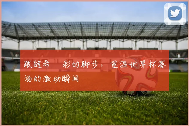 跟随希咲彩的脚步，重温世界杯赛场的激动瞬间