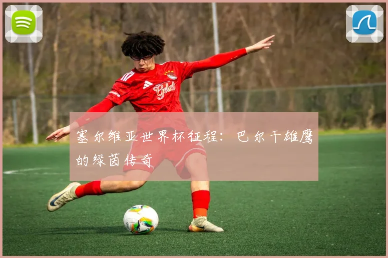 塞尔维亚世界杯征程：巴尔干雄鹰的绿茵传奇