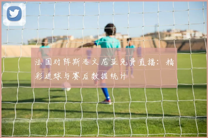 法国对阵斯洛文尼亚免费直播：精彩进球与赛后数据统计